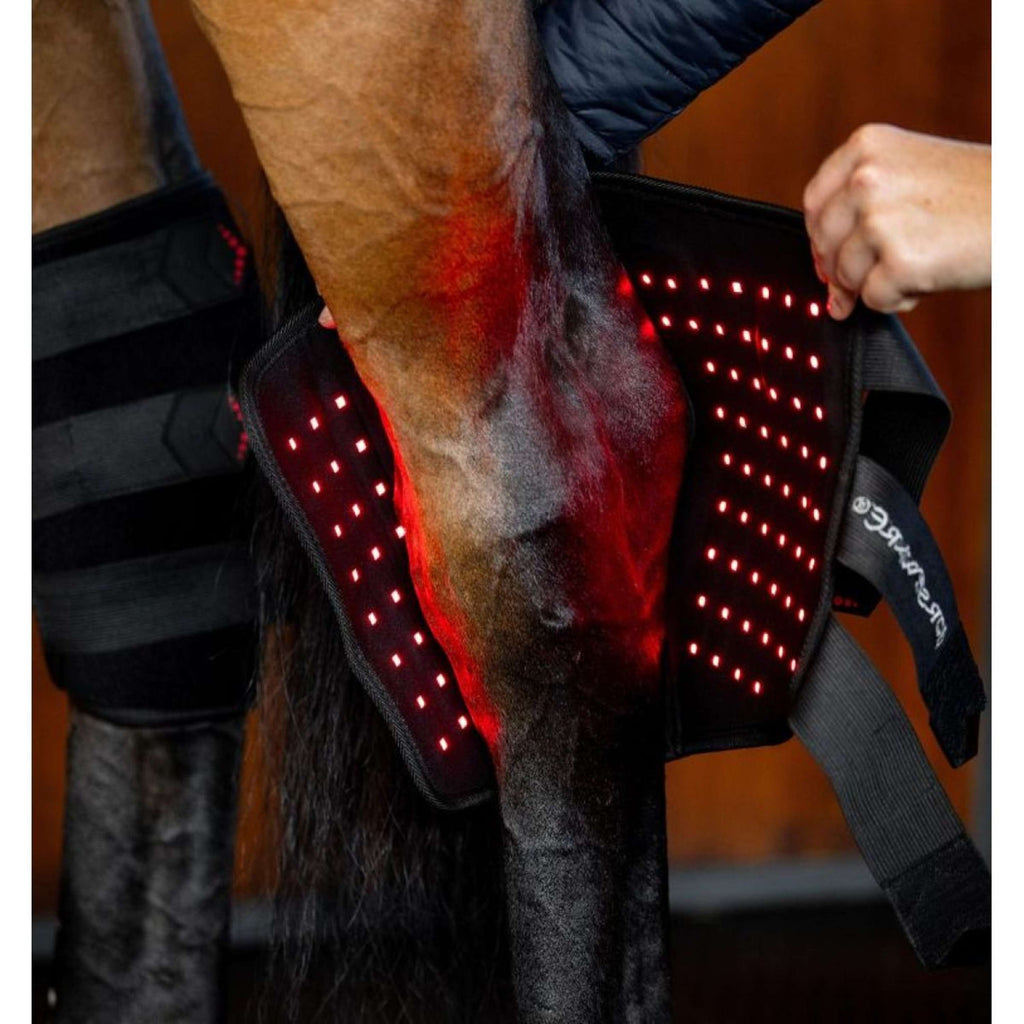 Horseware LED Red Light Therapy Right Hock Boot Zwart