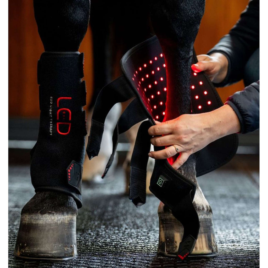 Horseware LED Red Light Therapy Left Leg Wrap Zwart