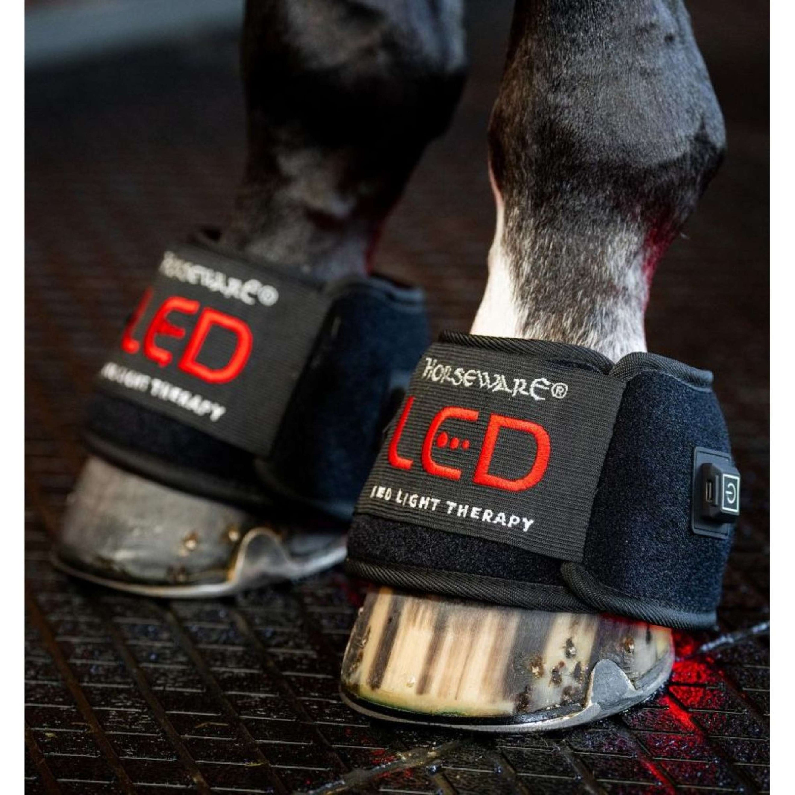 Horseware LED Red Light Therapy Mini Wrap Zwart