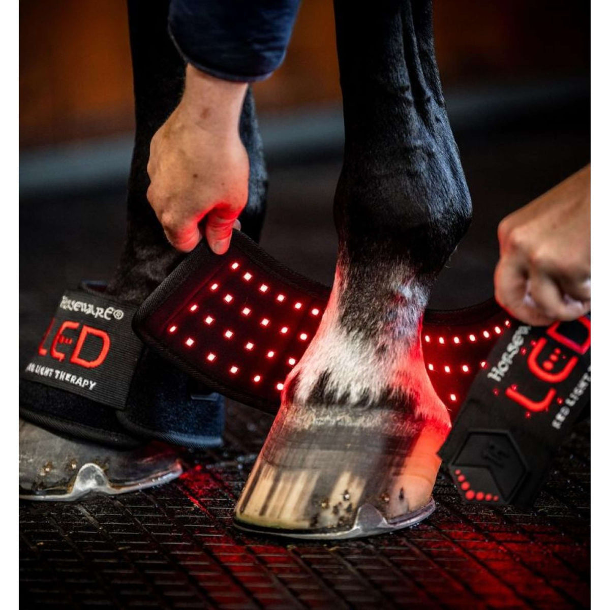 Horseware LED Red Light Therapy Mini Wrap Zwart