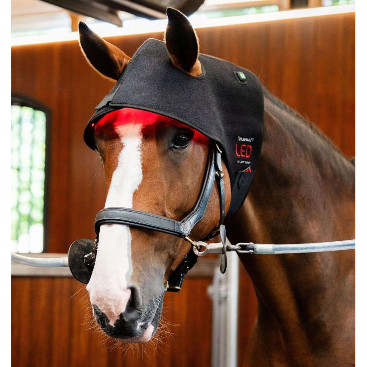 Horseware LED Red Light Therapy Poll Cap Zwart