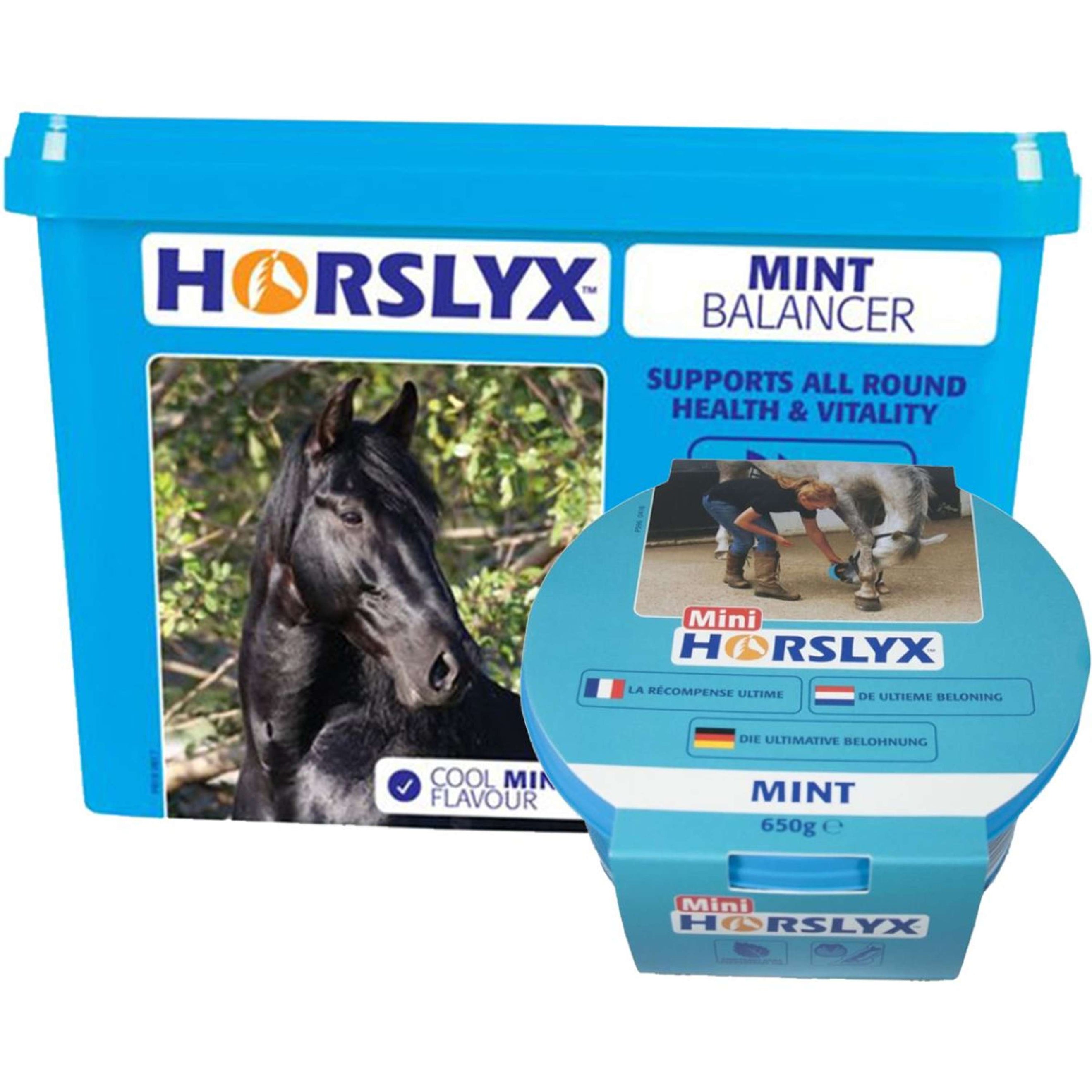 Horslyx Mint