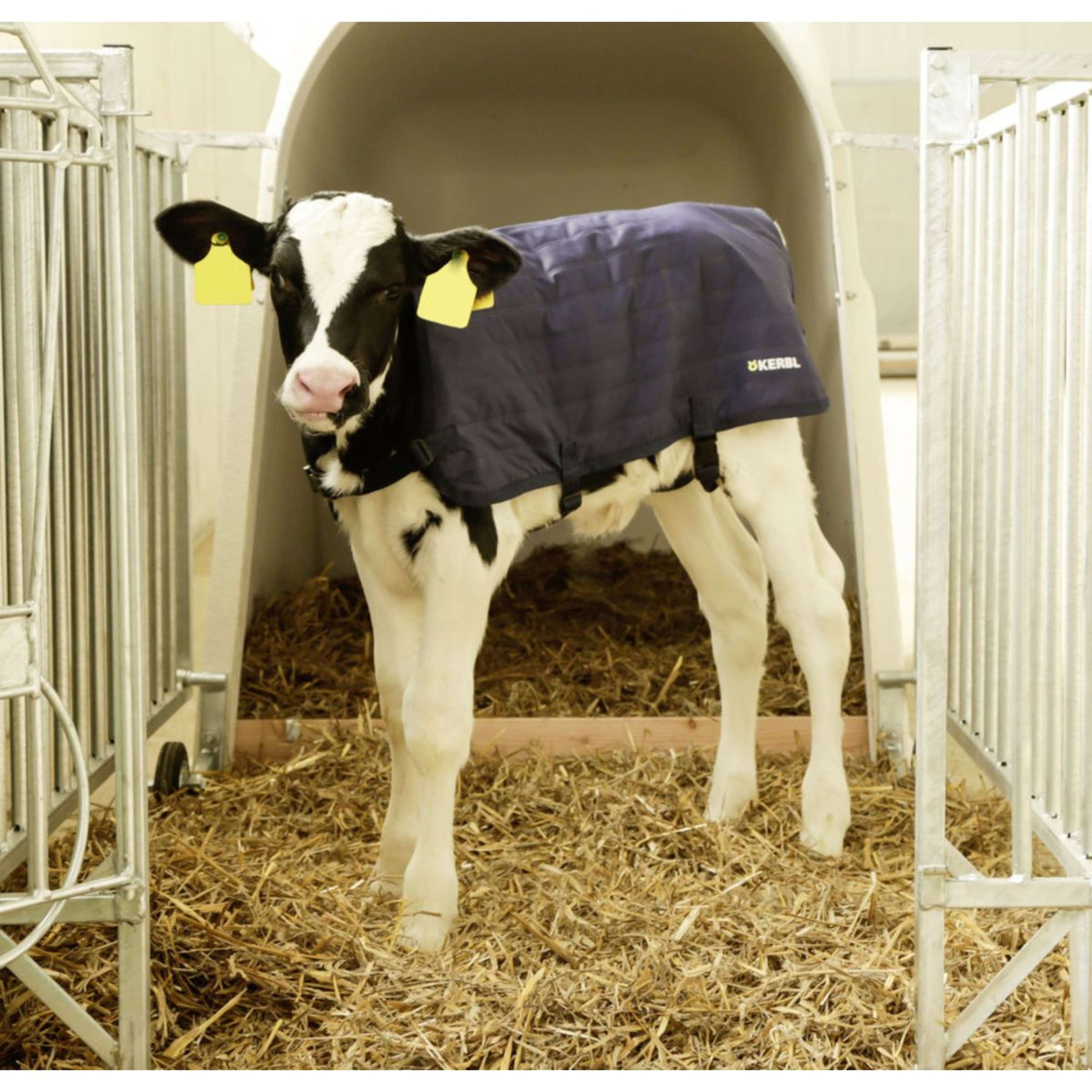 Kerbl Kalverdeken EasyWear Licht Model