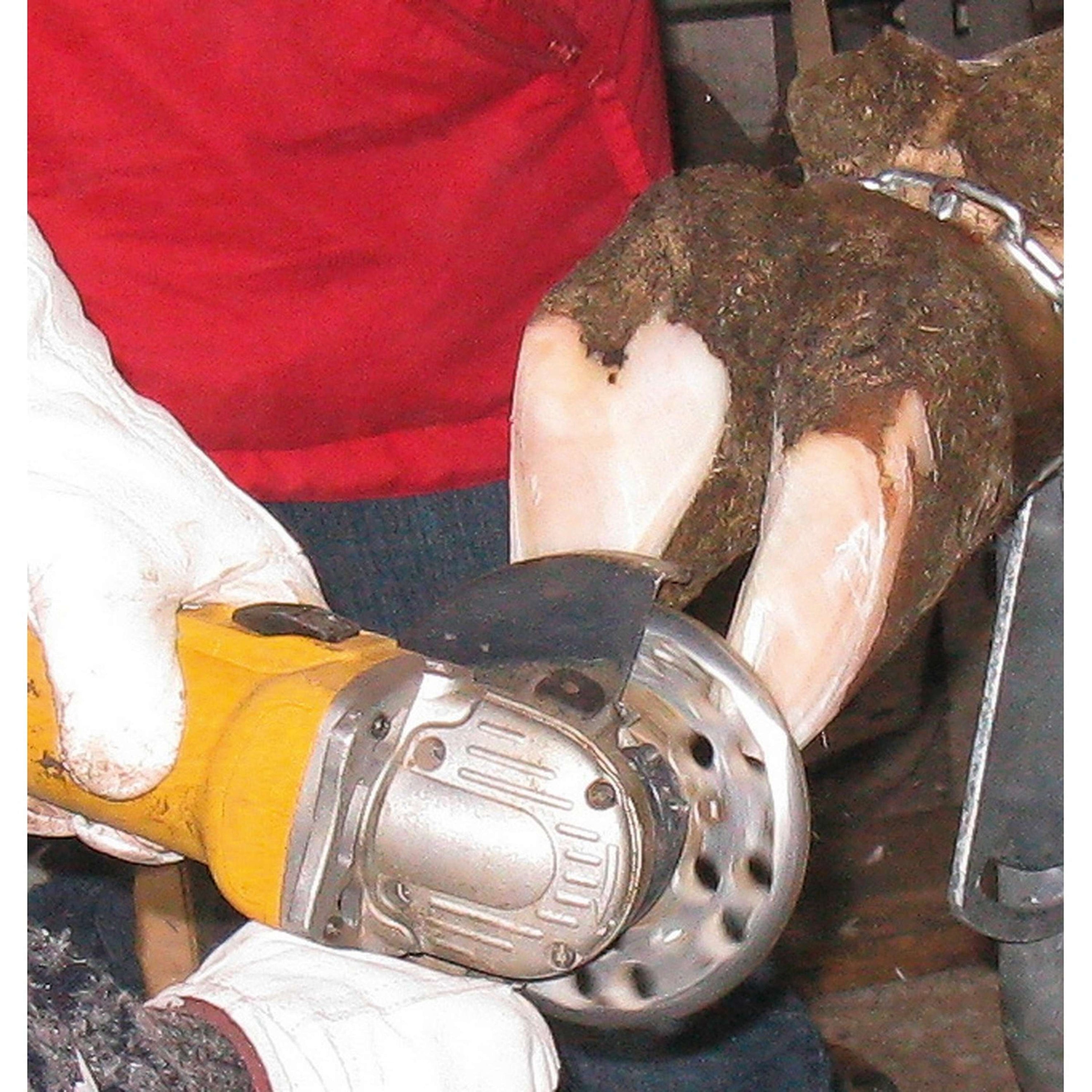 Kerbl Hoefslijpschijf Profi 6-cut Metaal Kerbl Hoefslijpschijf Profi 6-cut Metaal