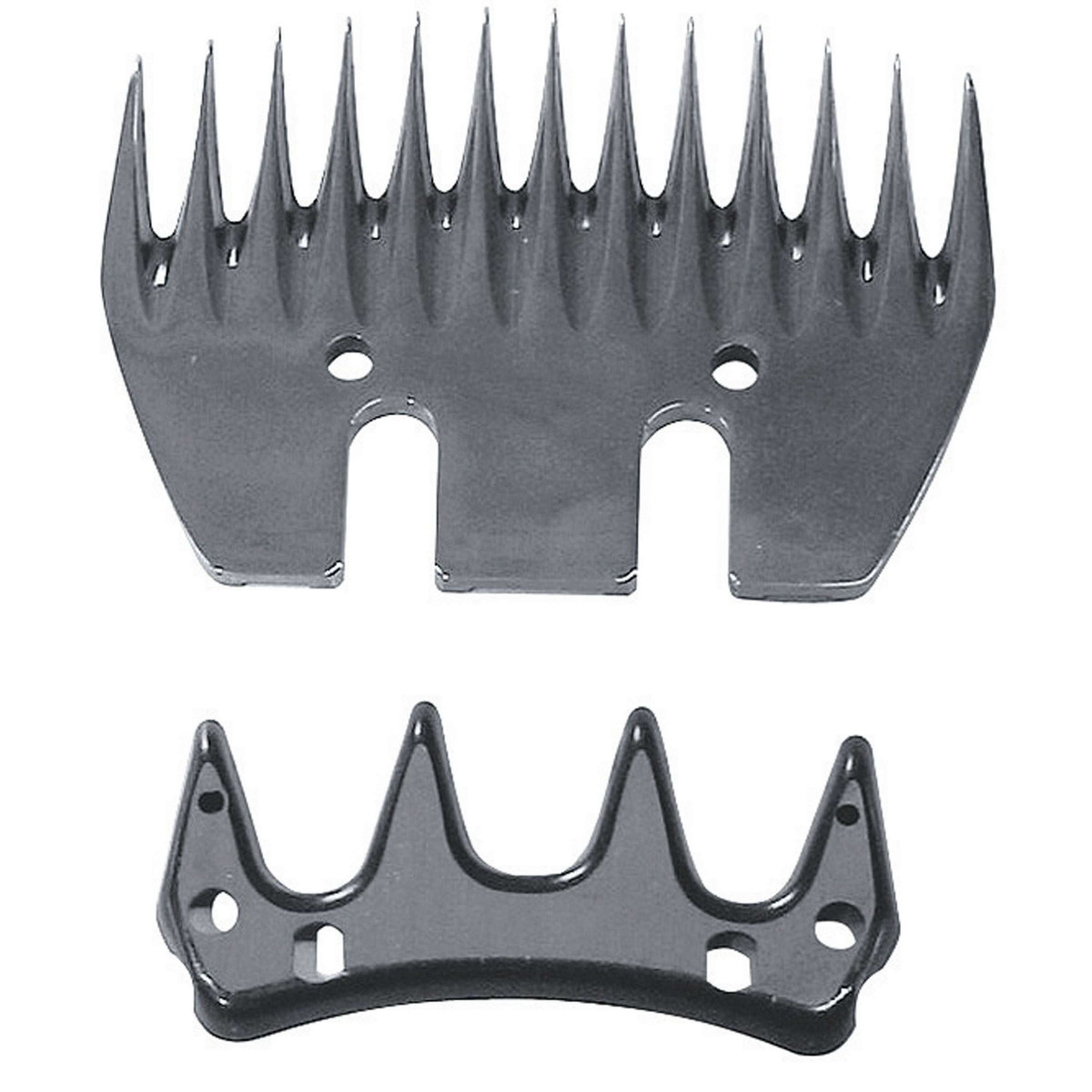 Constanta 3/4 Messet Schaap Constanta 3/4 Messet Schaap