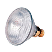 Philips Warmtelamp E 100w Wit