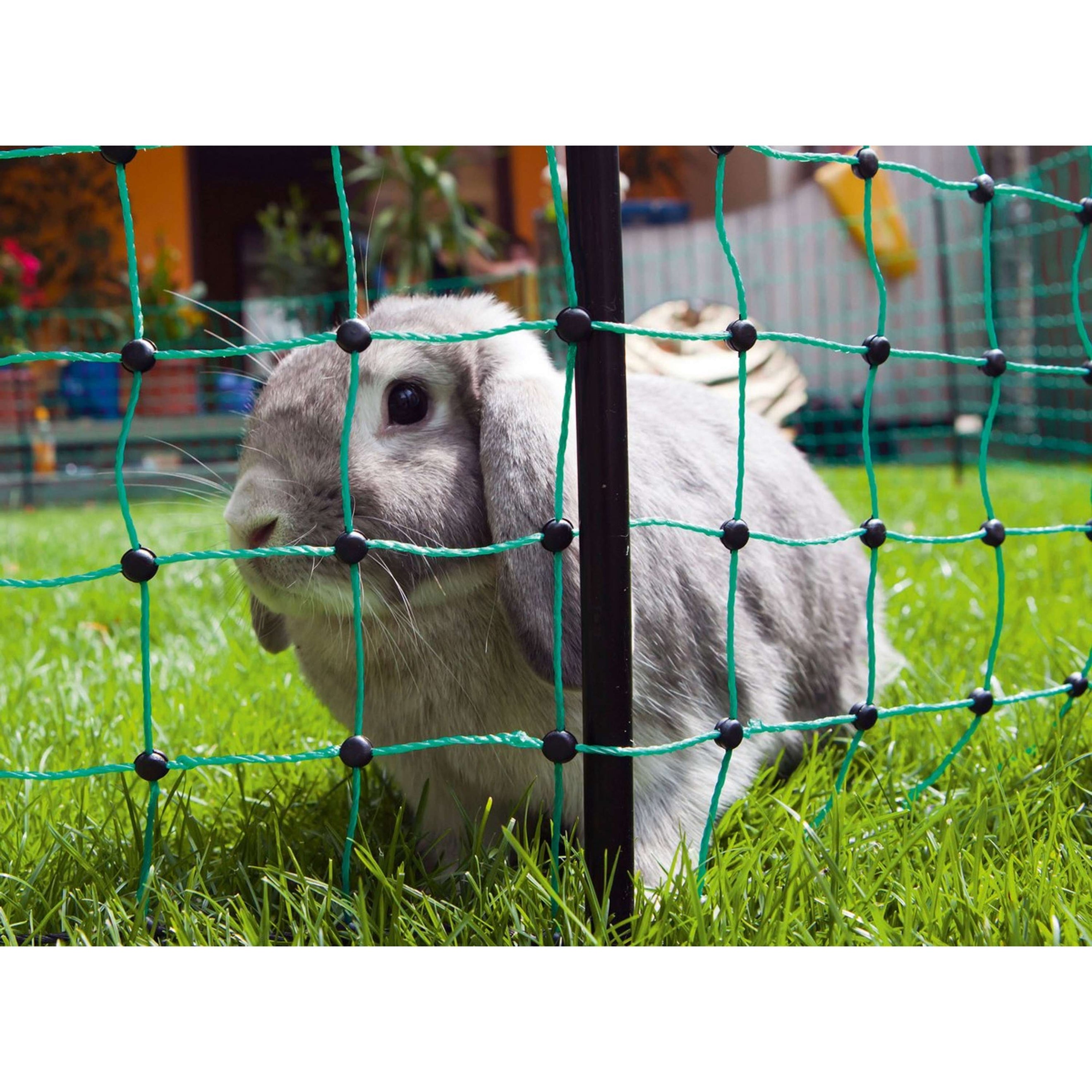 Kerbl Konijnennet 50 meter Dubbel Groen Kerbl Konijnennet 50 meter Dubbel Groen