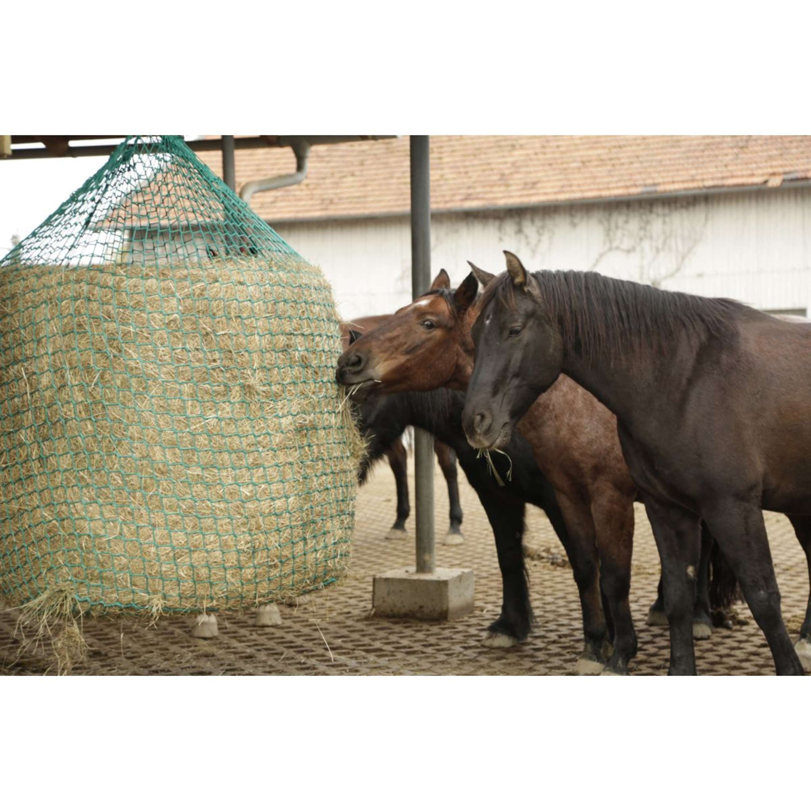 Kerbl Hooinet om Optehangen Kerbl Hooinet om Optehangen