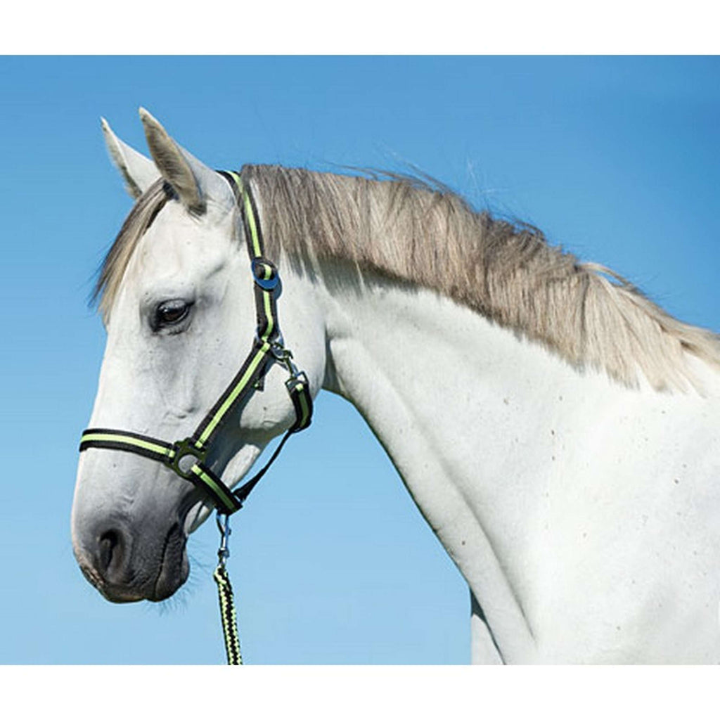 Covalliero Halstertouw Hippo met Musketonhaak Antraciet/Lemon