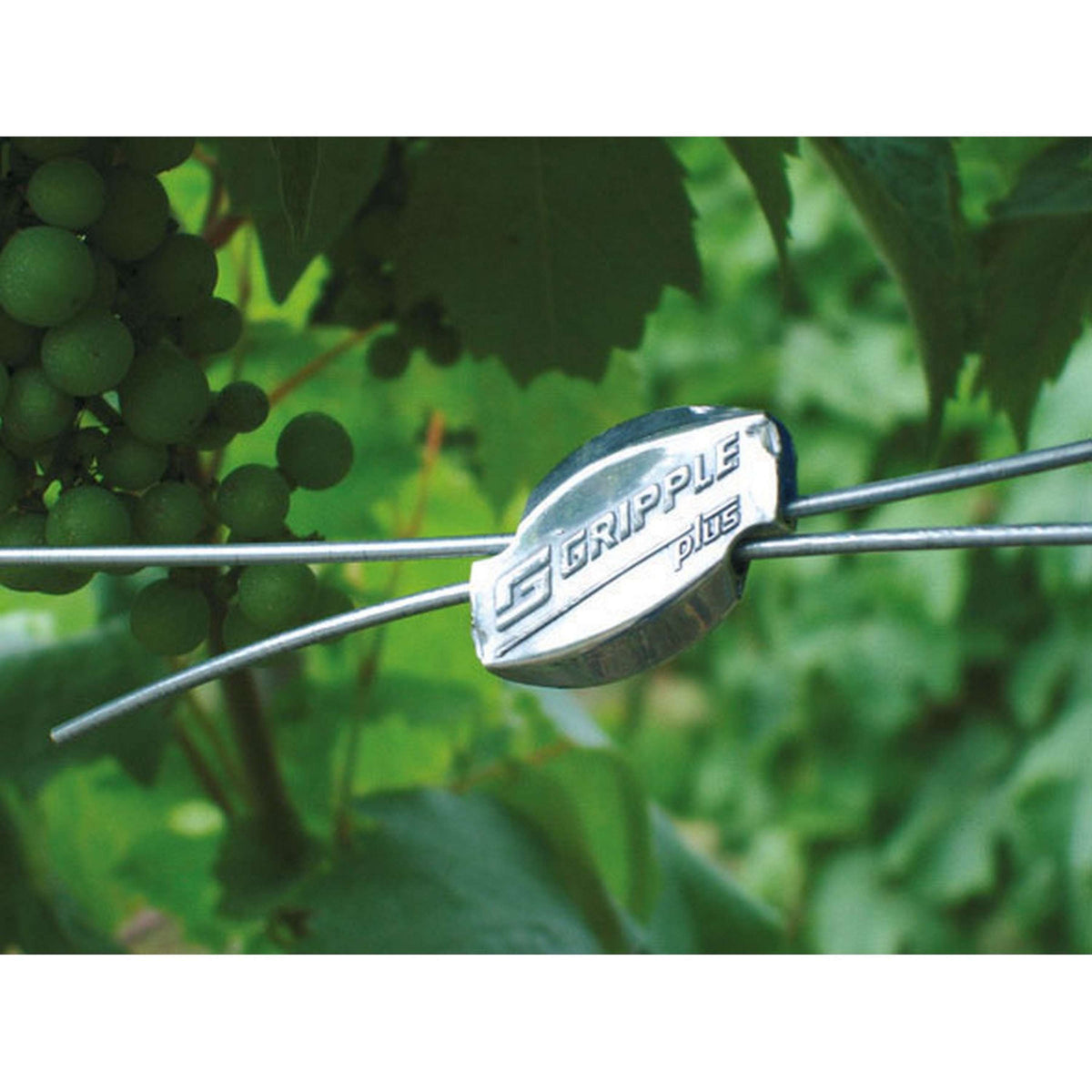 Ako Gripple Draadverbinder 20 Stuks