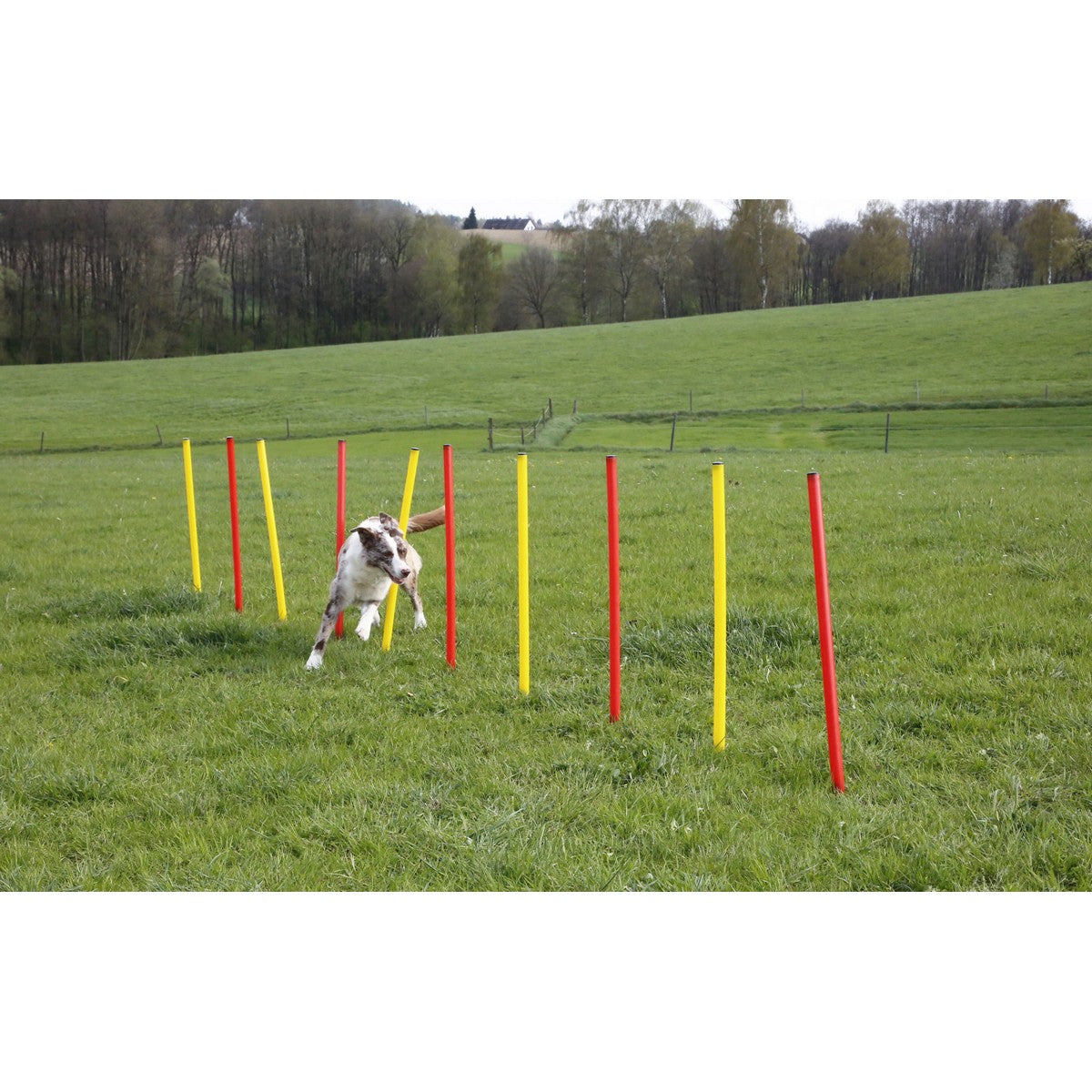 Kerbl Agility Set Compleet 3-delig Rood/Geel