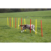 Kerbl Agility Set Compleet 3-delig Rood/Geel