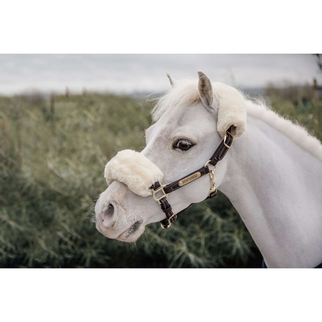 Kentucky Leren Halster Leather with Sheepskin