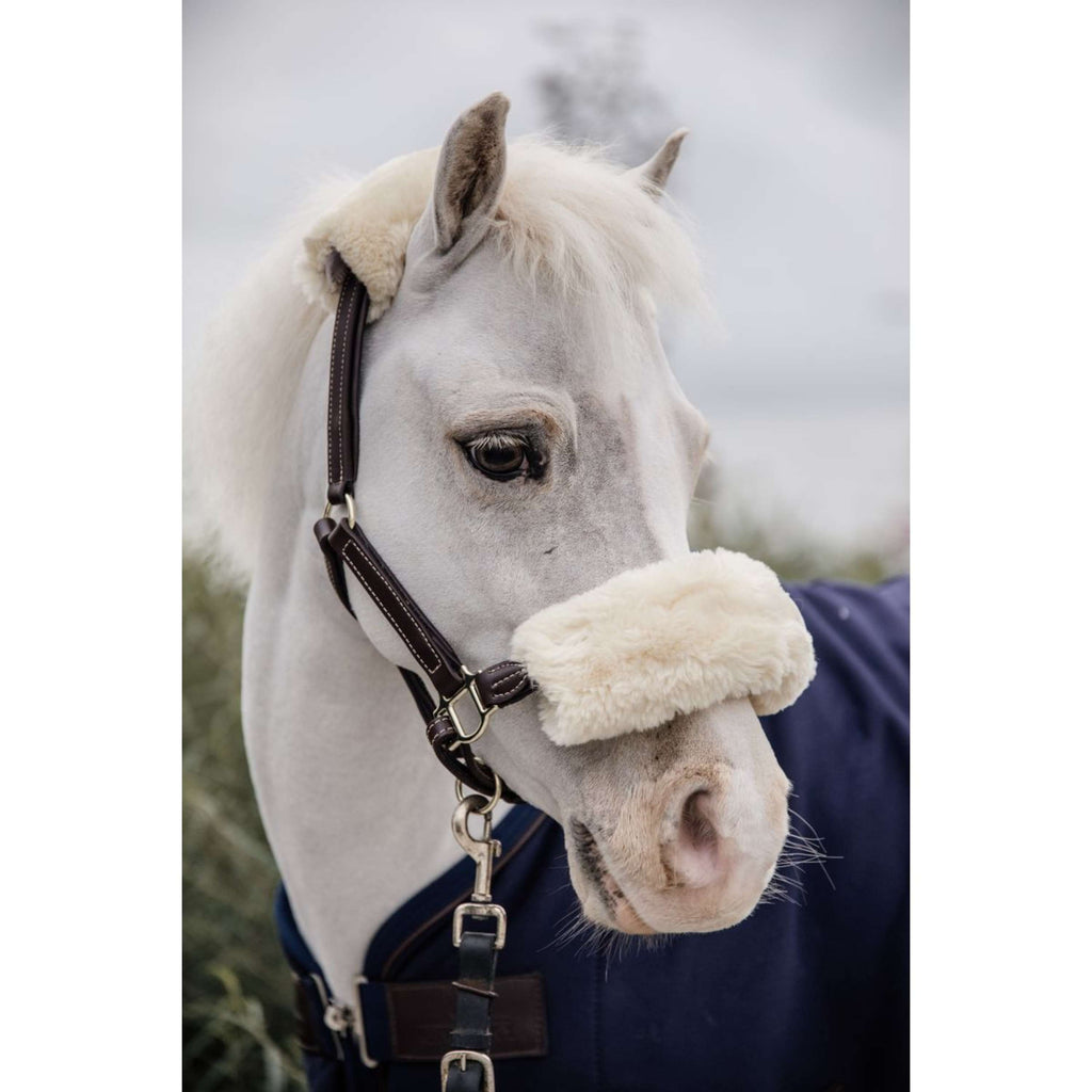 Kentucky Leren Halster Leather with Sheepskin