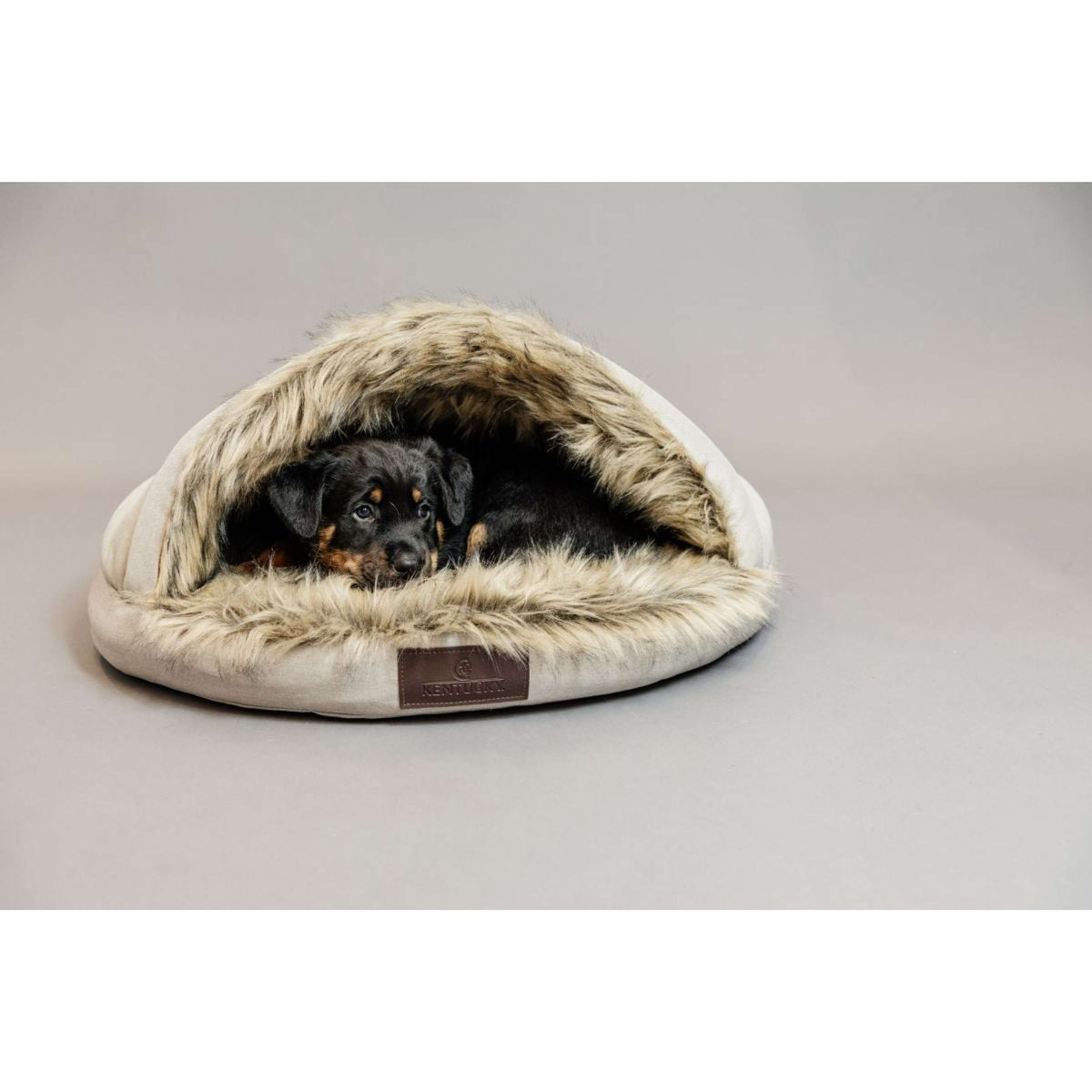 Kentucky Honden Bed Igloo