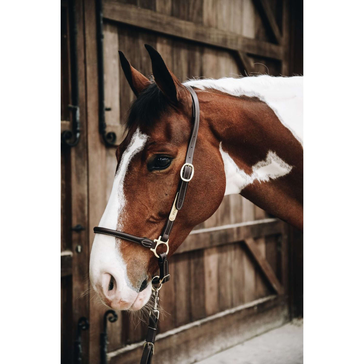 Kentucky Halster Leather Grooming