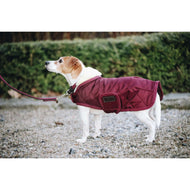 Kentucky Dog Coat Original Bordeaux