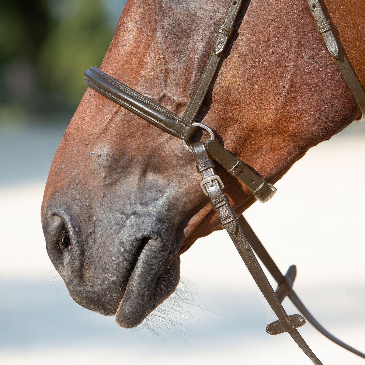 Kieffer Bitloos Kendra met Gesp Anatomisch Bruin