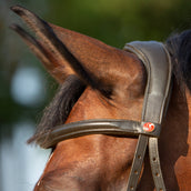 Kieffer Bitloos Kendra met Gesp Anatomisch Bruin