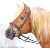 Kieffer Hoofdstel Ultrasoft Haflinger Bruin/Bruine steentjes