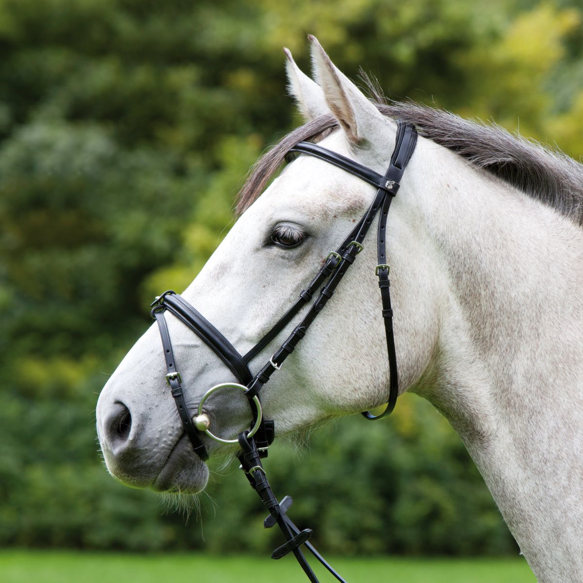 Kieffer Hoofdstel Anja Beran Narrow Flash Zwart