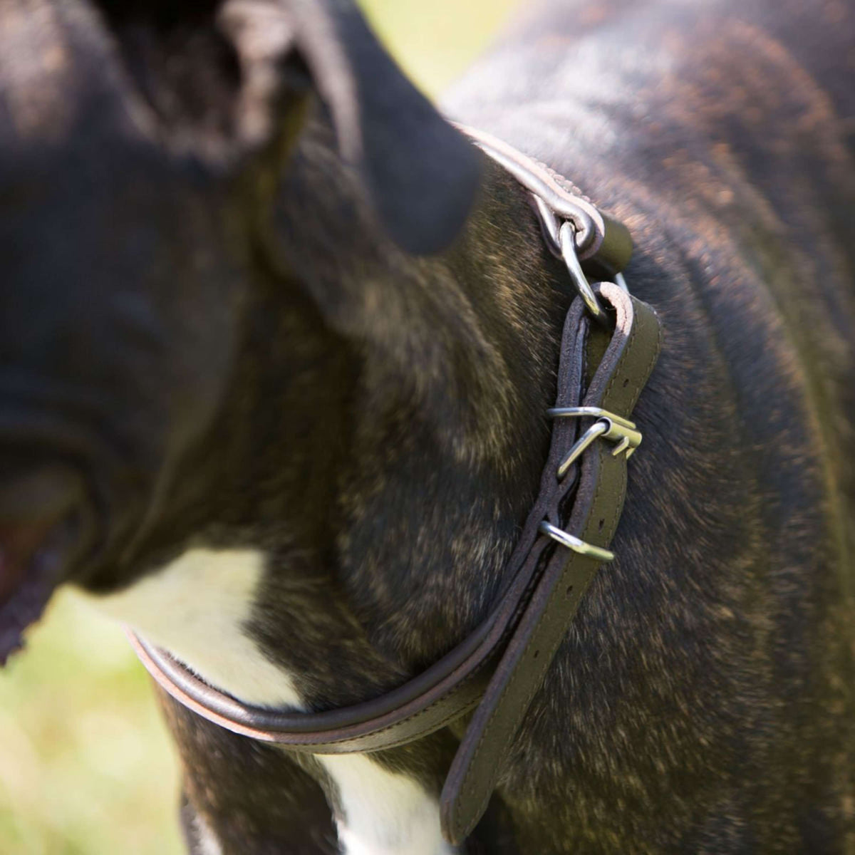 Kieffer Hondenhalsband Ultrasoft Dressage Zwart