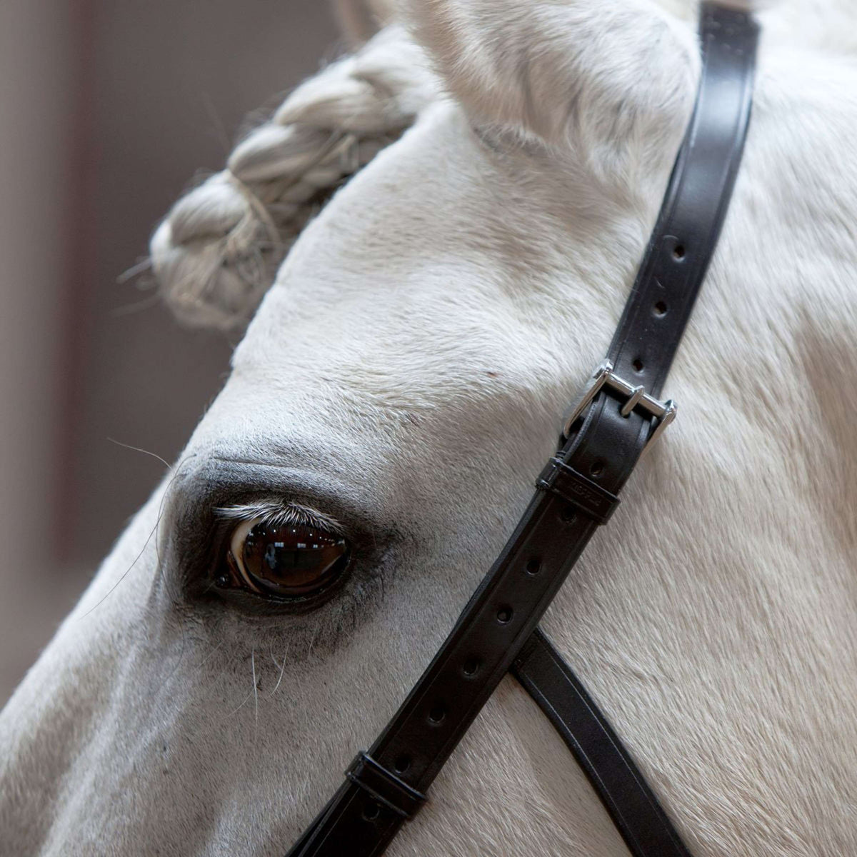 Kieffer Kaptoom Anja Beran Zwart
