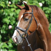 Kavalkade Trenshoofdstel Clinchesse Bruin/Zilver