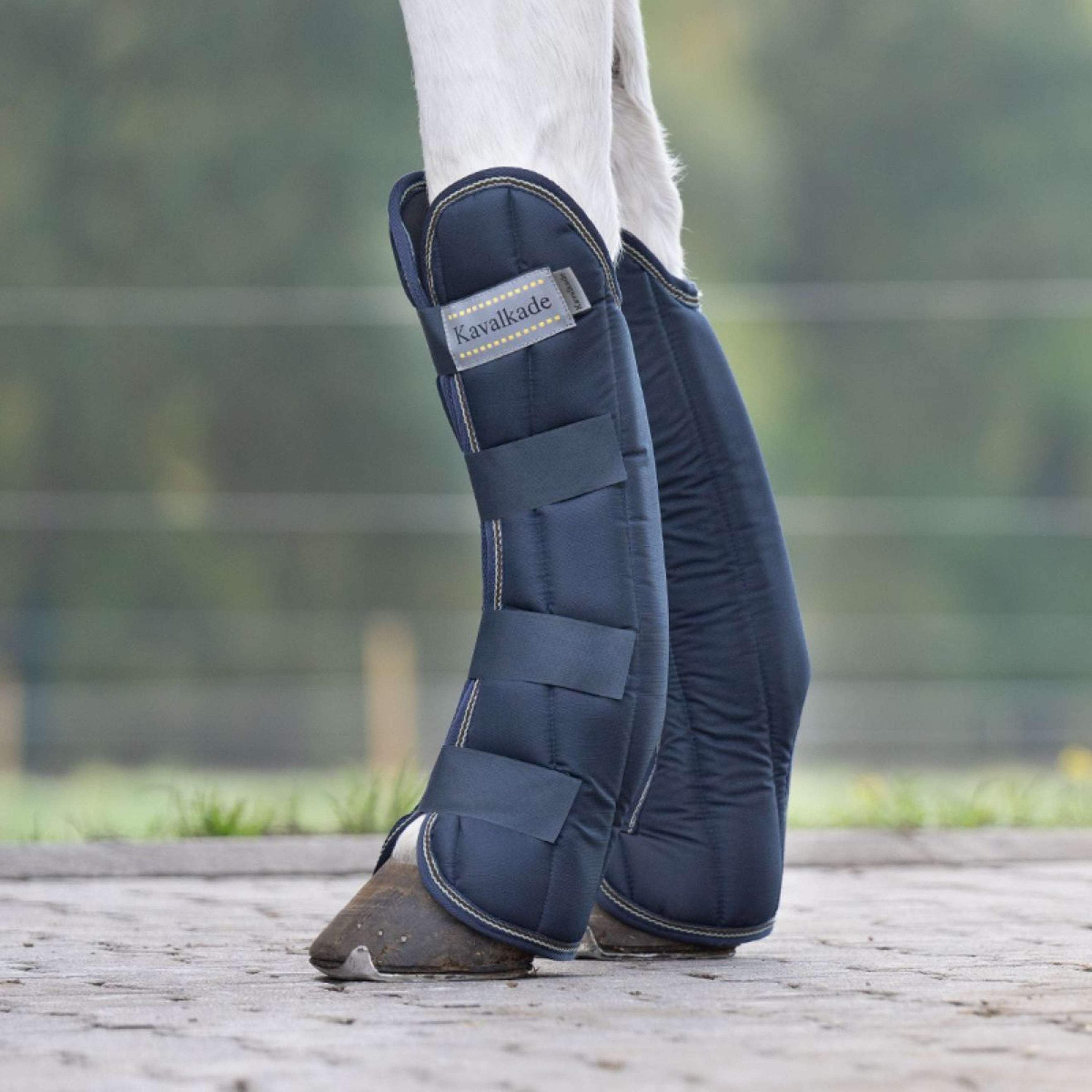 Kavalkade Transportbeschermers Montreal Voor Navy Kavalkade Transportbeschermers Montreal Voor Navy