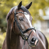 Kavalkade Hoofdstel Ivana Engels Zwart