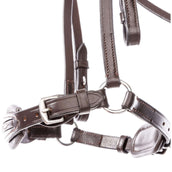 Kavalkade Hoofdstel Levana Hannoveraan Bruin