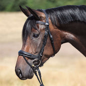 Kavalkade Trenshoofdstel Ivy IR Zwart