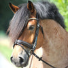 Kavalkade Trenshoofdstel Clinchesse Bruin/Zilver