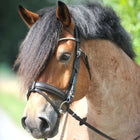 Kavalkade Trenshoofdstel Clinchesse Bruin/Zilver