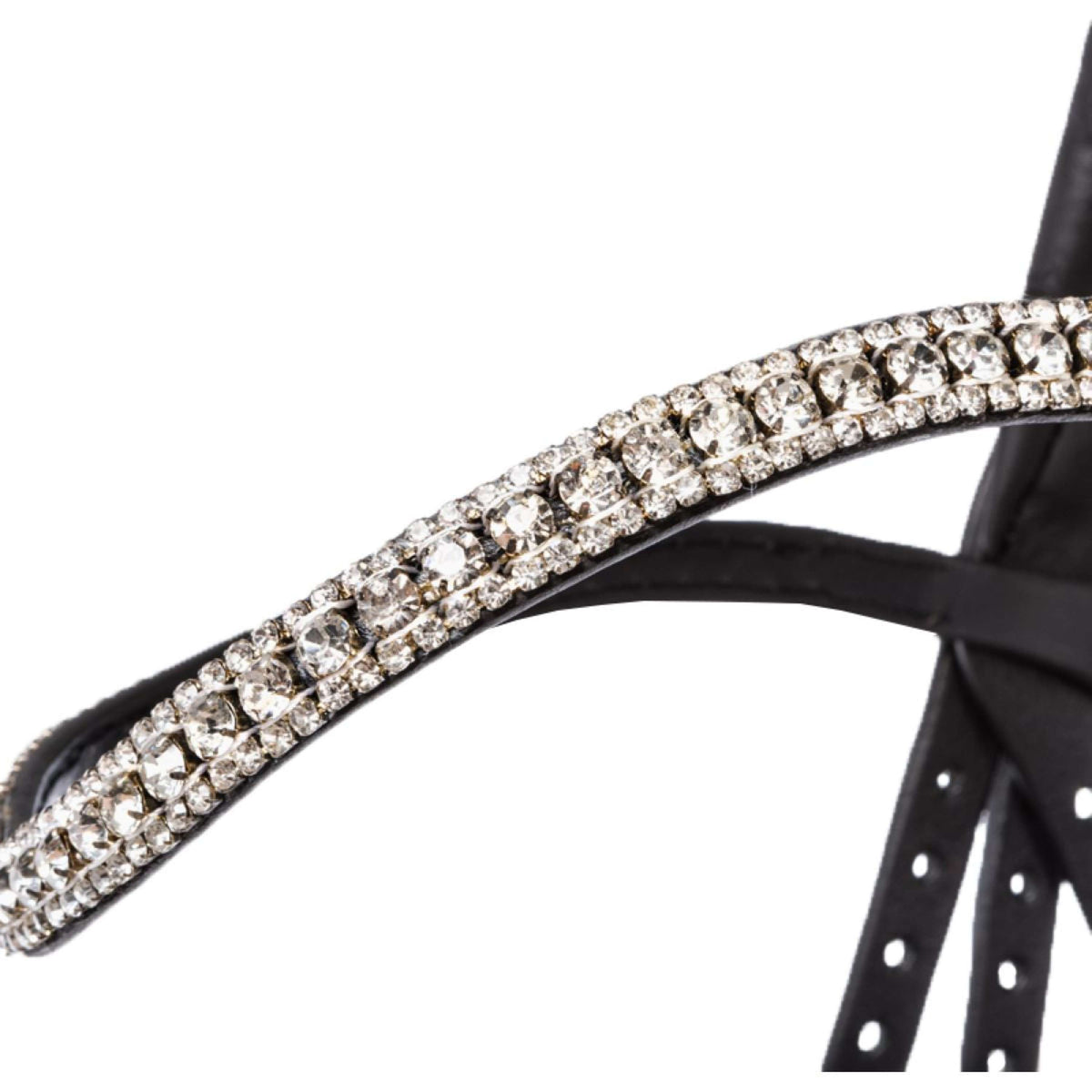 Kavalkade Hoofdstel Everness Zwart