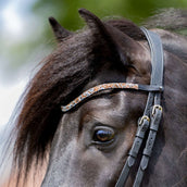 Kavalkade Frontriem Button Candy