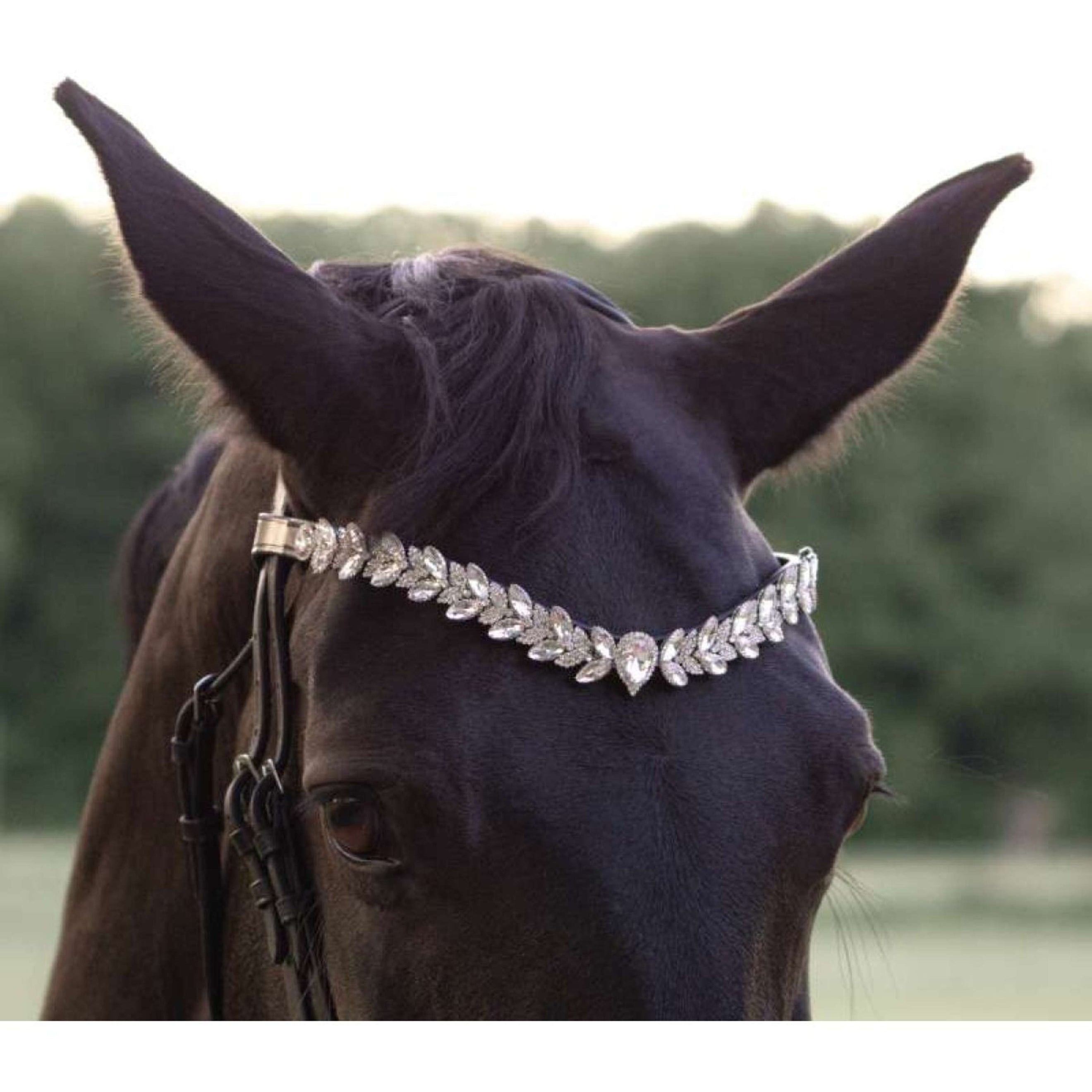 Kavalkade Frontriem Exquisite Zwart/Wit