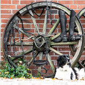 Kavalkade Teugels Cortica Vegane van Kurk Zwart