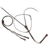 Kavalkade Thiedemann Teugels Bruin