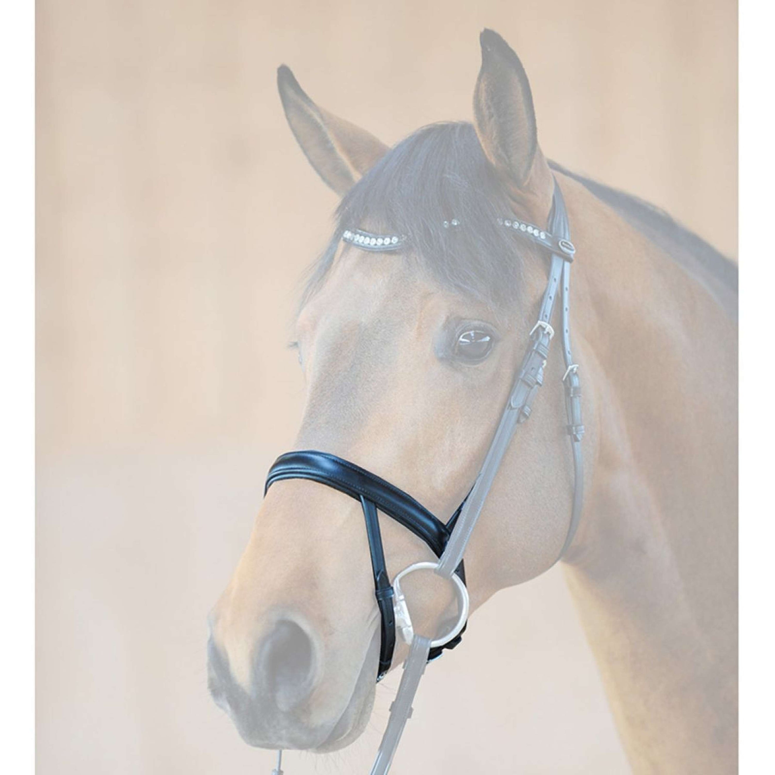 Kavalkade Neusriem IR Zwart Kavalkade Neusriem IR Zwart