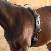 Kavalkade Longeersingel Frame Zwart