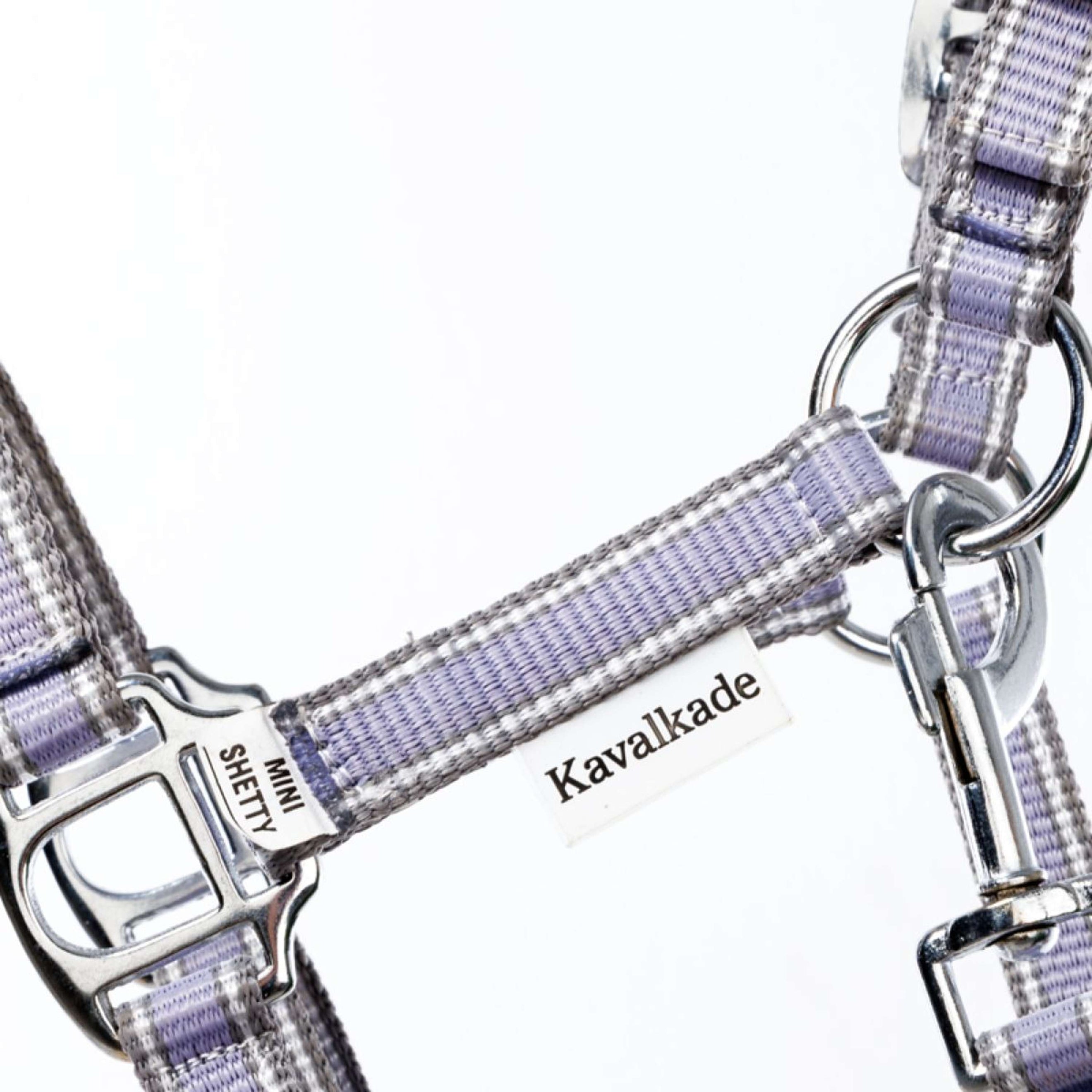 Kavalkade Halster Shorty Flieder/Grijs/Wit Kavalkade Halster Shorty Flieder/Grijs/Wit