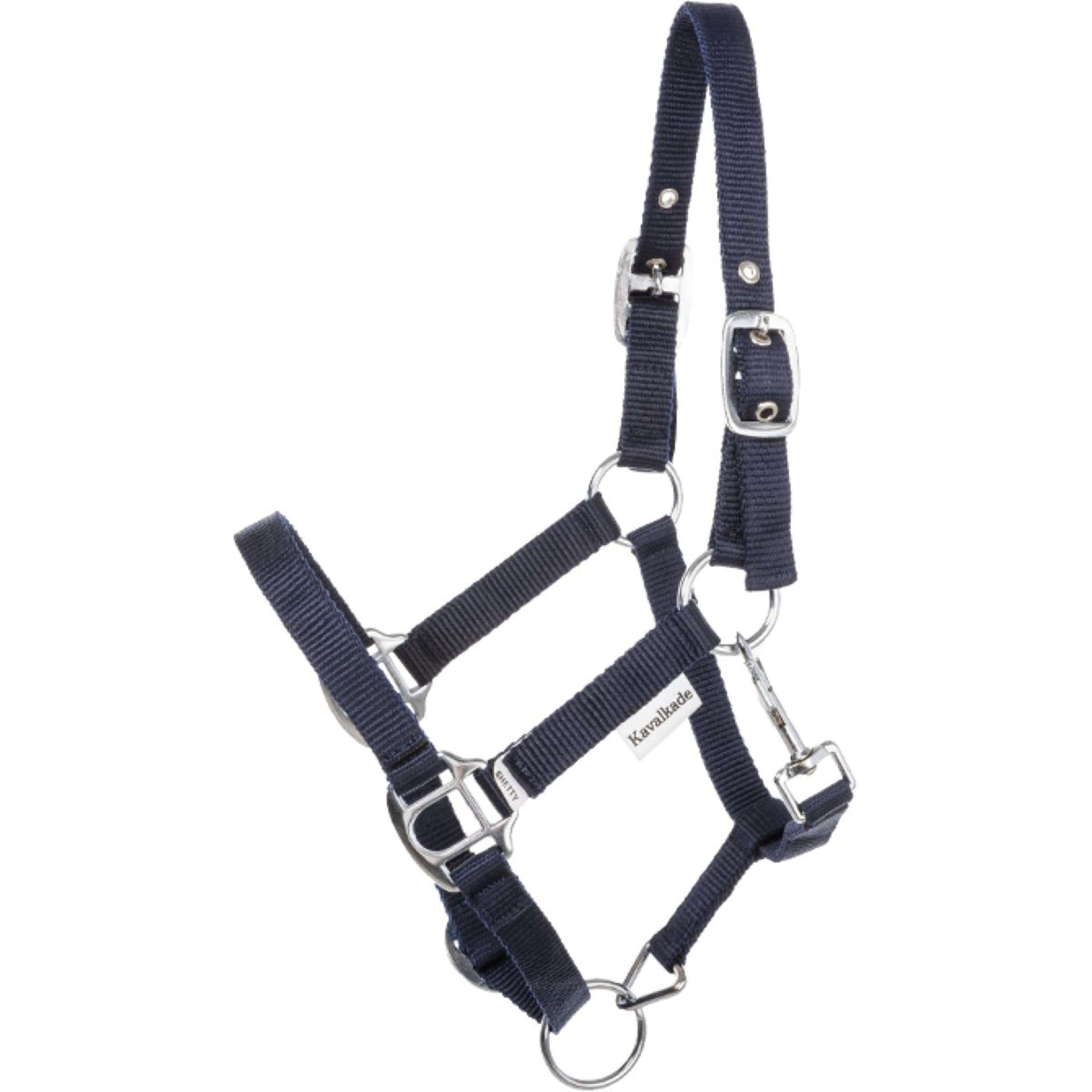 Kavalkade Halster Shorty Navy Kavalkade Halster Shorty Navy