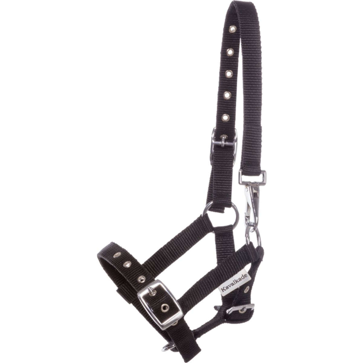 Kavalkade Halster Foal/Yearling Zwart