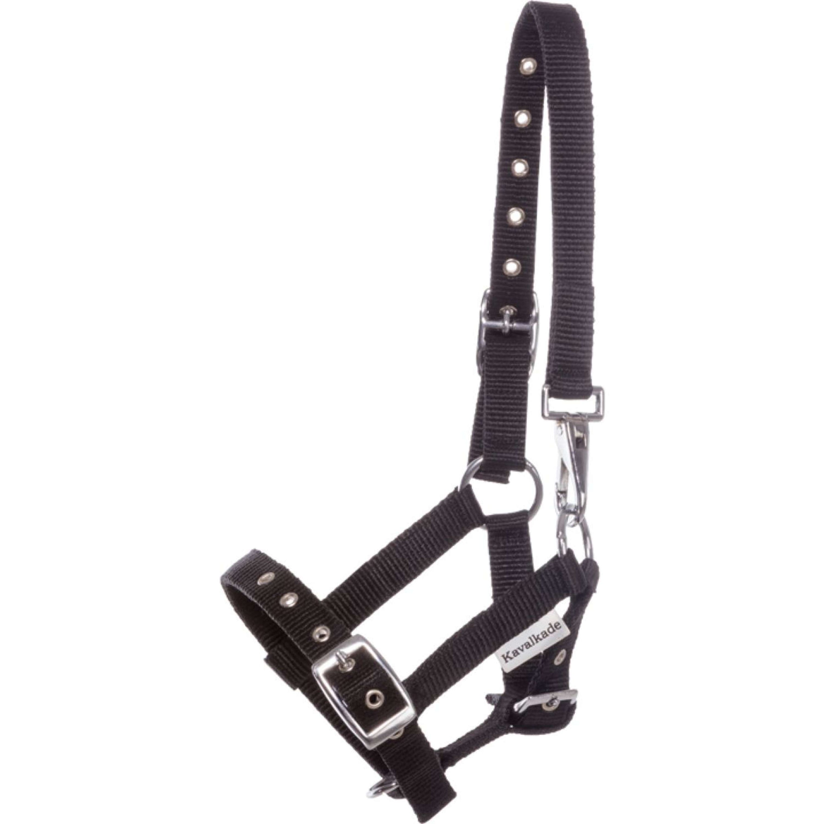 Kavalkade Halster Foal/Yearling Zwart