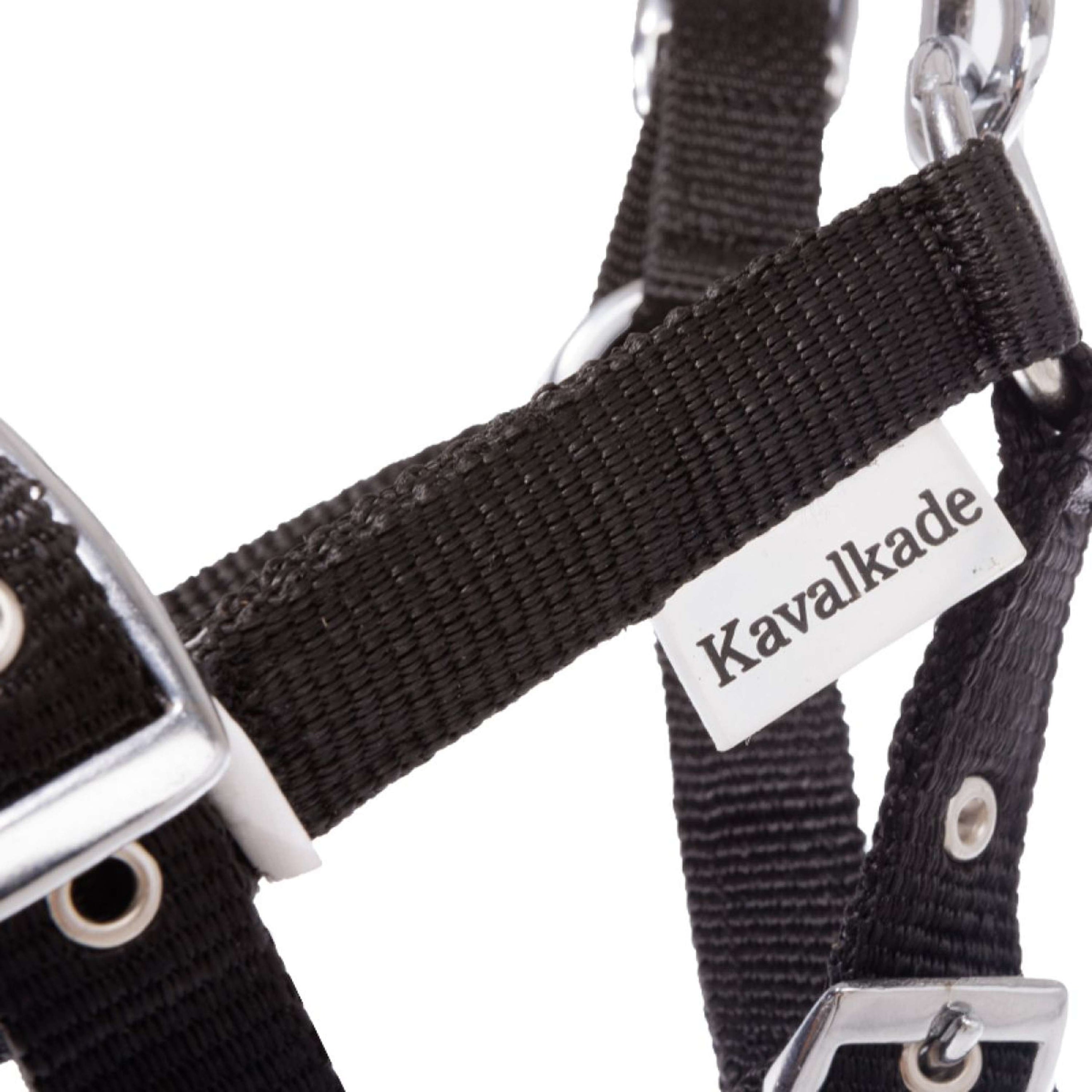 Kavalkade Halster Foal/Yearling Zwart