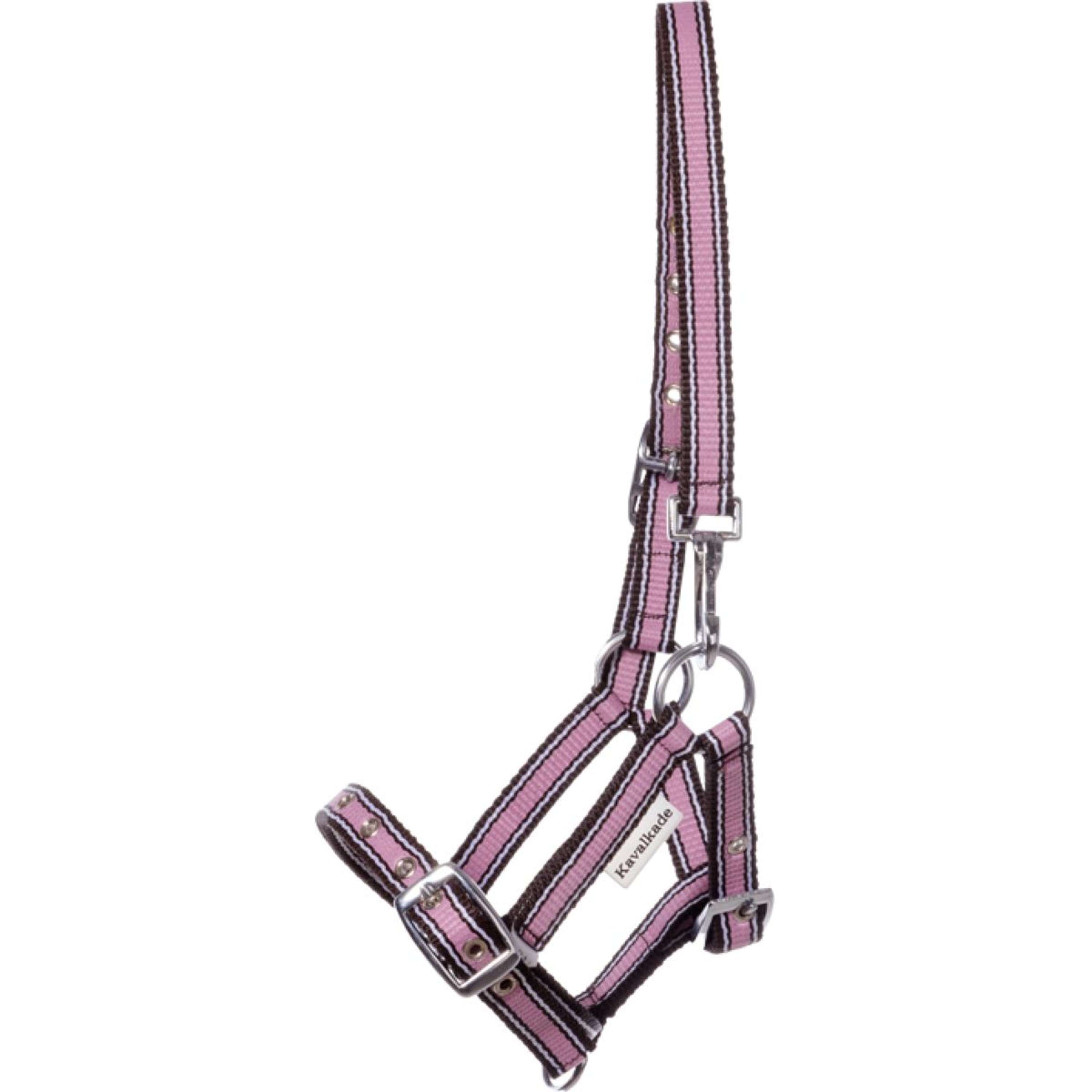 Kavalkade Veulen en Jaarlinghalster Roze Kavalkade Veulen en Jaarlinghalster Roze