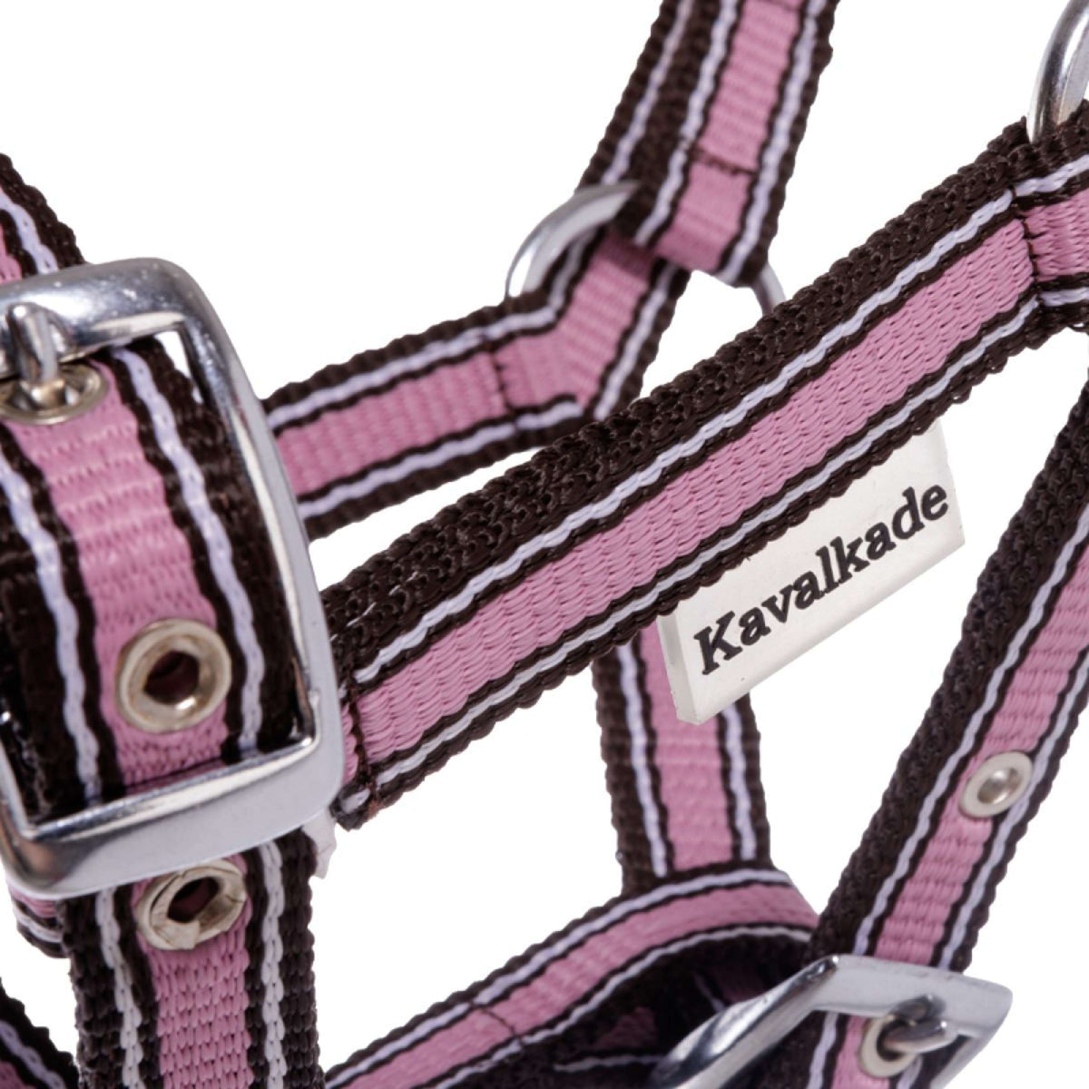 Kavalkade Halster Foal/Yearling Rose/Bruin/Wit