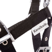 Kavalkade Veulen en Jaarlinghalster Blauw