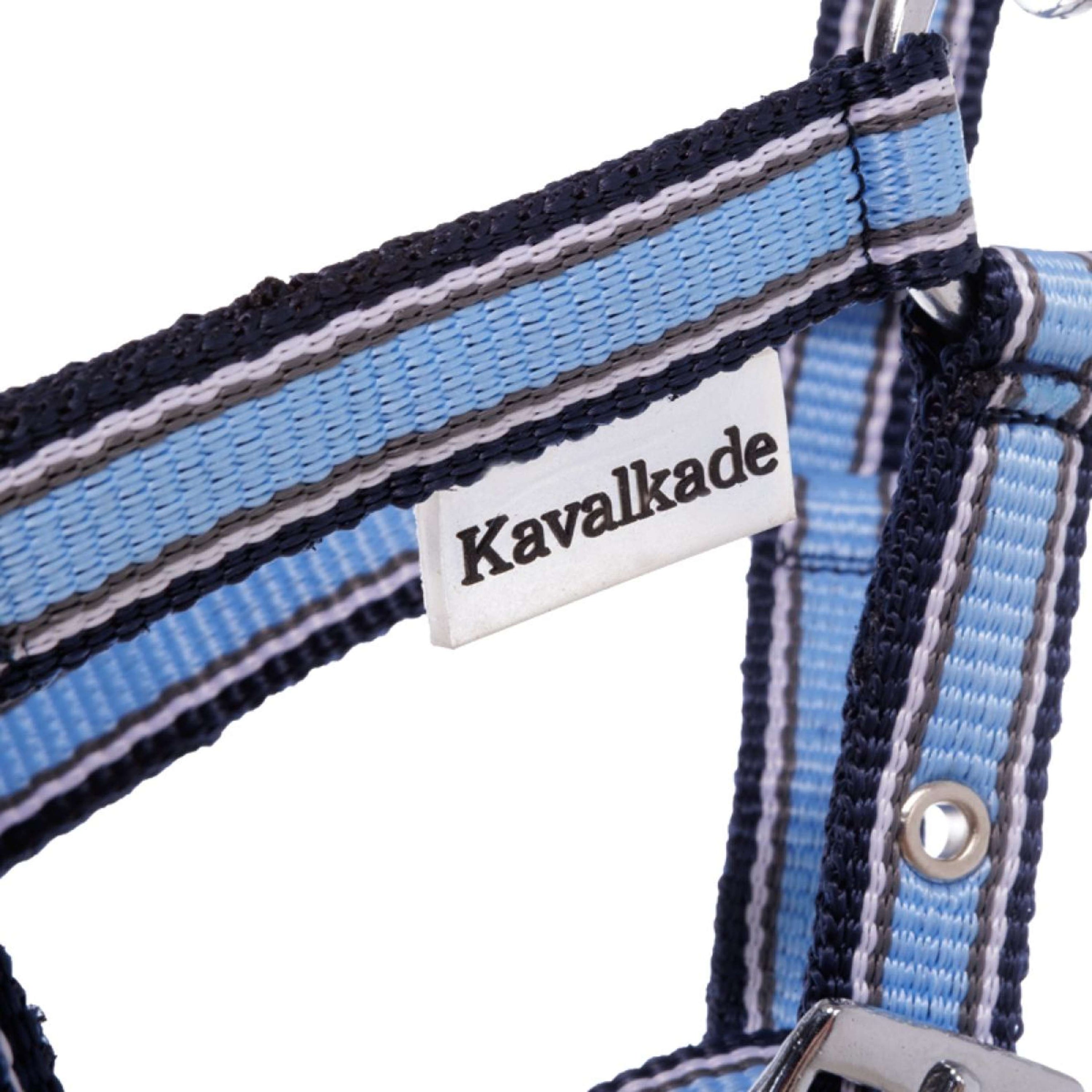 Kavalkade Halster Foal/Yearling Lichtblauw/Navy/Wit Kavalkade Halster Foal/Yearling Lichtblauw/Navy/Wit